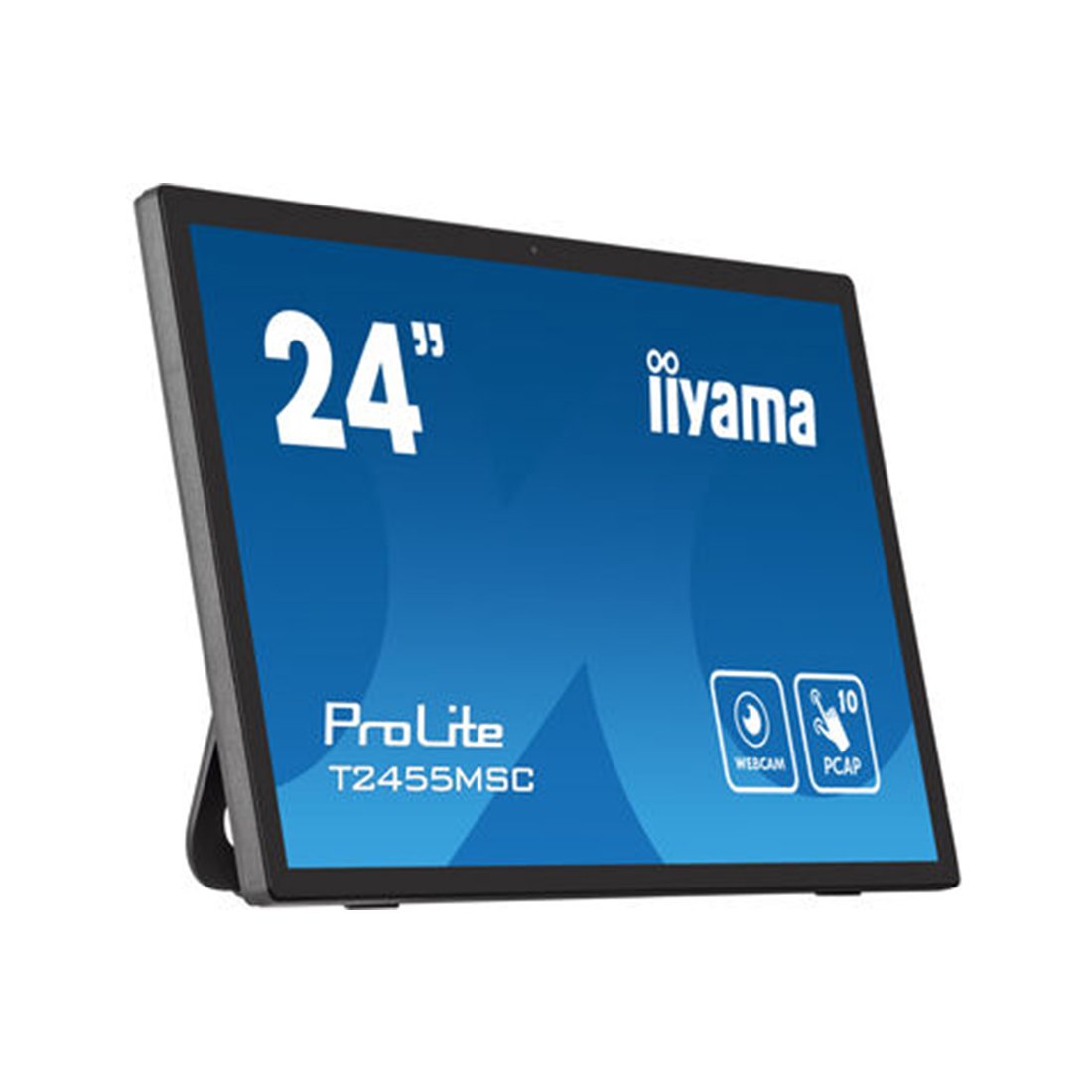 Монитор iiyama ProLite PL2455M T2455MSC-B1 24