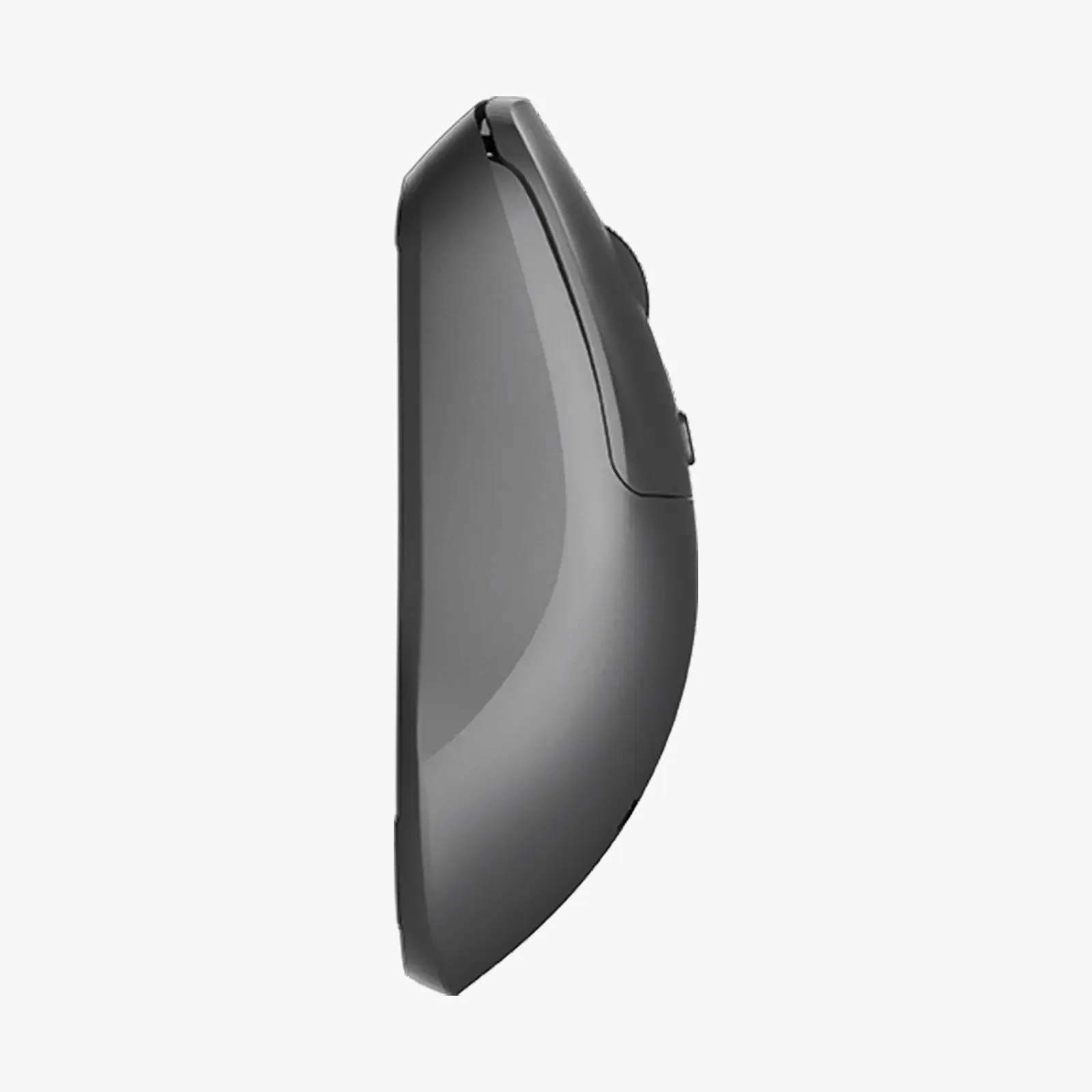 Мышь Meetion R546 Black, Wireless, Оптическая, 1600DPI, 4 Button, 2xAAA, USB, 2.4 GHz, Чёрный — фото 3