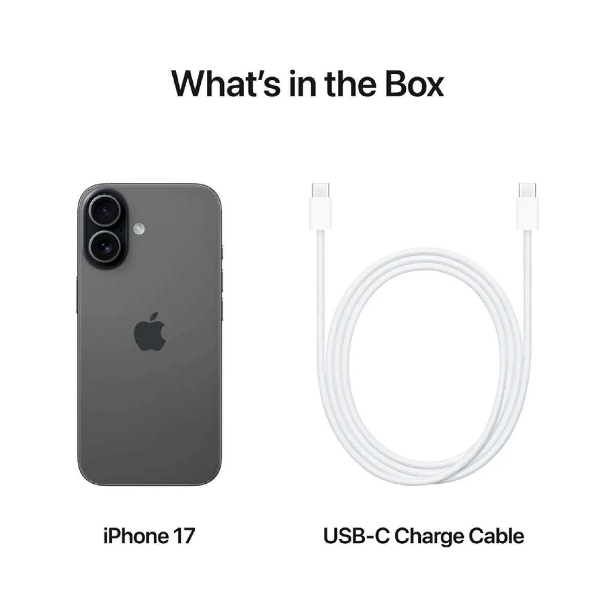 iPhone 17 256GB Black,Model A3520 — фото 13