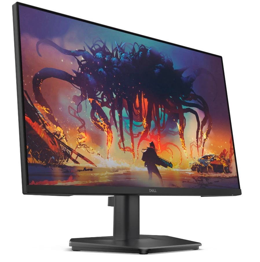 Монитор Dell SE2425HG (210-BSNR)